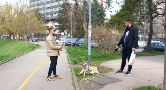 Bijeli golub ponovo (ne) leti 849 * NADIMCI I AKTUELNA ZBILJA (1)