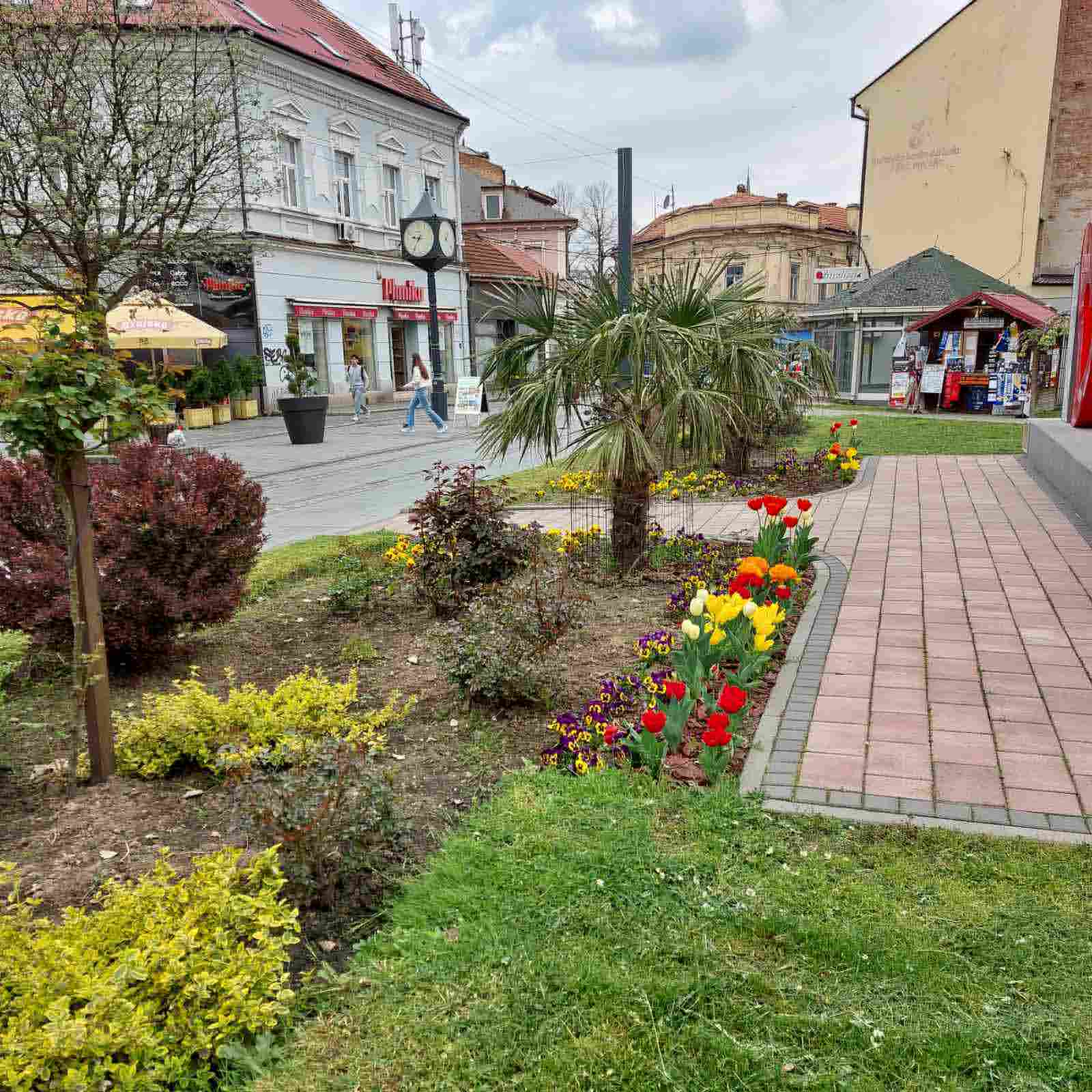 Proljetno uređenje javnih površina u Tuzli