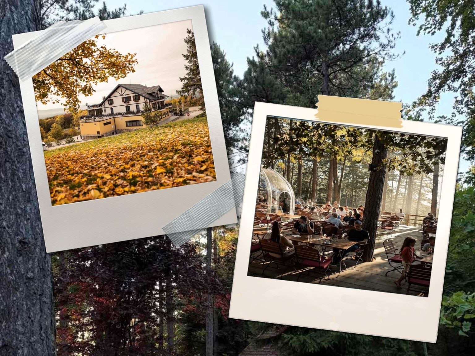 Vila Ana i Green Hills — dva mjesta, jedna priča o Majevici (FOTO)